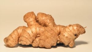 192205_ginger