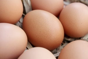 1283295_eggs_2