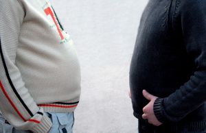 809234_abdomens